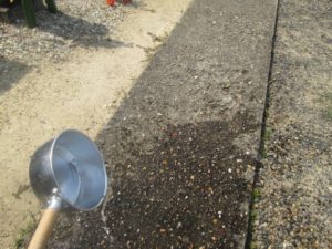 【打ち水は効果なし？】実験動画をもとに検証!!むしろ逆効果の可能性も？